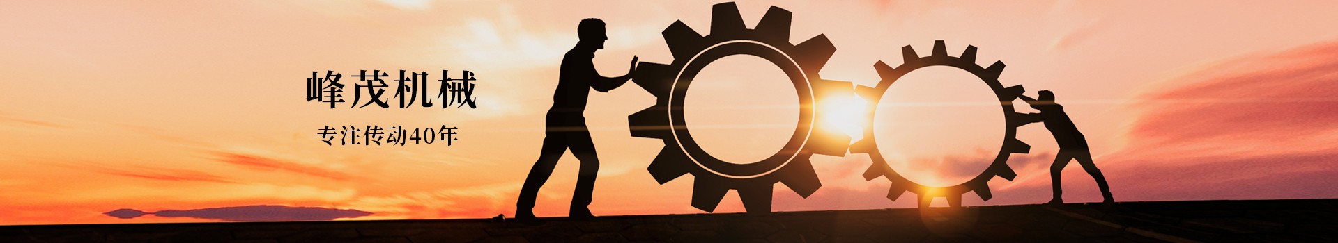 東莞市峰茂機(jī)械設(shè)備有限公司，專注齒條齒輪傳動(dòng)40年